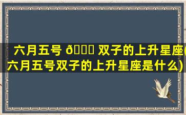 六月五号 🐛 双子的上升星座(六月五号双子的上升星座是什么)